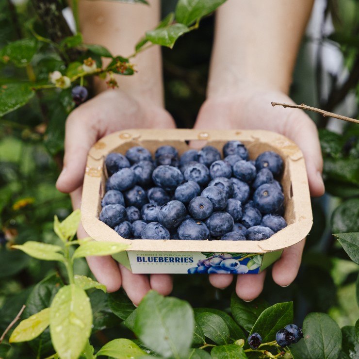 EverGrow® Packaging For Produce